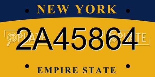 2A45864 New York License Plate