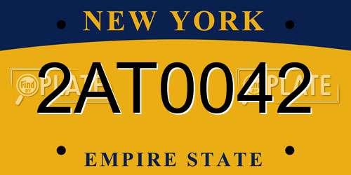 2AT0042 New York License Plate