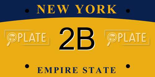 2B New York License Plate