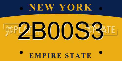 2B00S3 New York License Plate