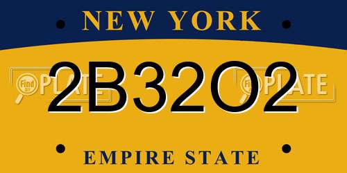 2B32O2 New York License Plate