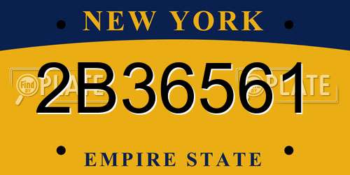 2B36561 New York License Plate