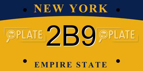 2B9 New York License Plate