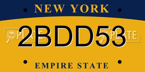 2BDD53 New York License Plate