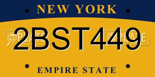 2BST449 New York License Plate