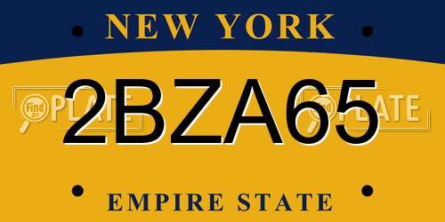 2BZA65 New York License Plate