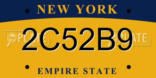 2C52B9 New York License Plate