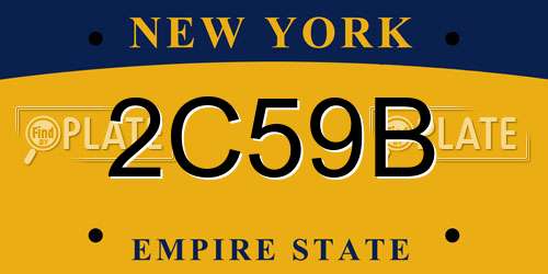2C59B New York License Plate