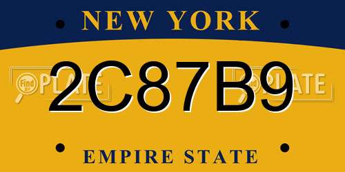 2C87B9 New York License Plate
