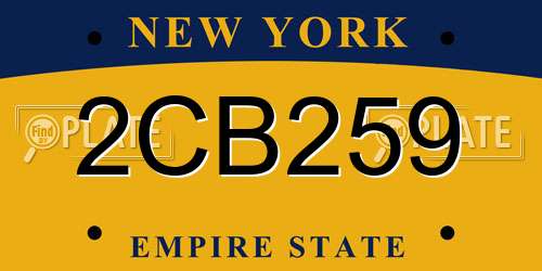 2CB259 New York License Plate