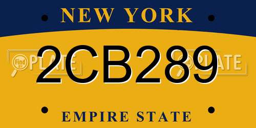 2CB289 New York License Plate