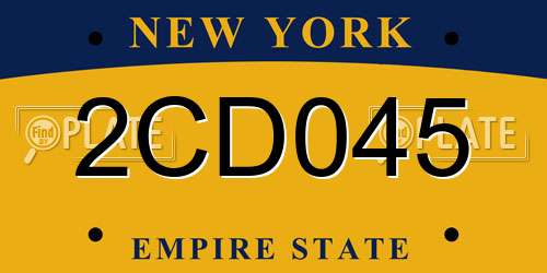 2CD045 New York License Plate