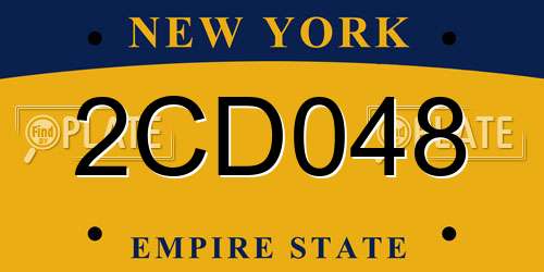 2CD048 New York License Plate