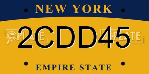 2CDD45 New York License Plate