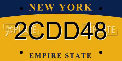 2CDD48 New York License Plate