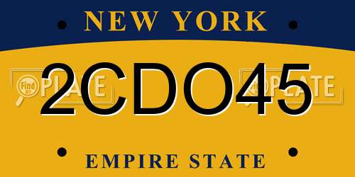2CDO45 New York License Plate