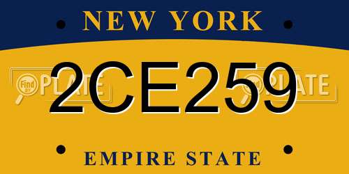 2CE259 New York License Plate