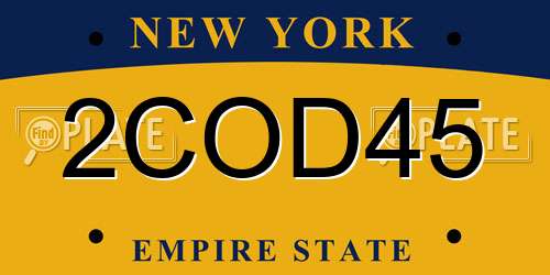 2COD45 New York License Plate
