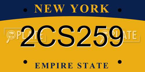 2CS259 New York License Plate