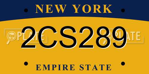 2CS289 New York License Plate