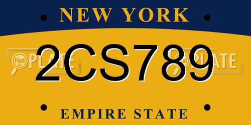 2CS789 New York License Plate
