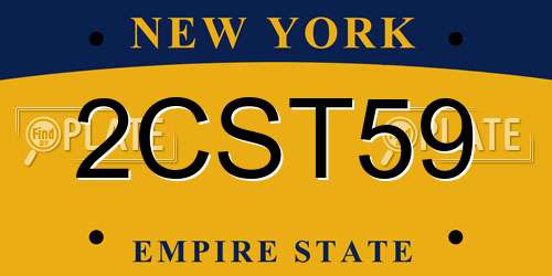 2CST59 New York License Plate