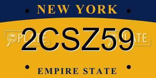 2CSZ59 New York License Plate