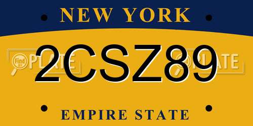 2CSZ89 New York License Plate