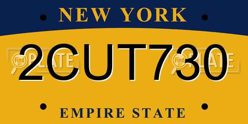2CUT730 New York License Plate