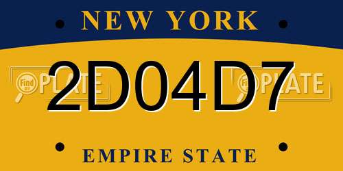 2D04D7 New York License Plate