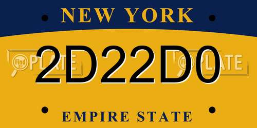 2D22D0 New York License Plate