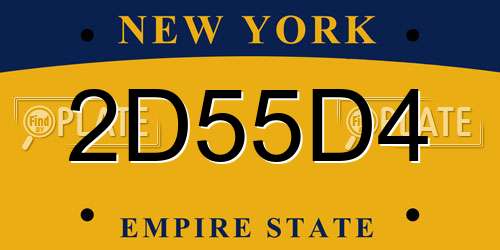2D55D4 New York License Plate
