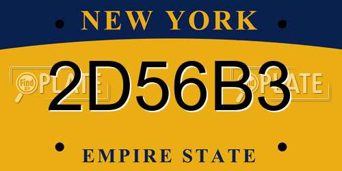 2D56B3 New York License Plate