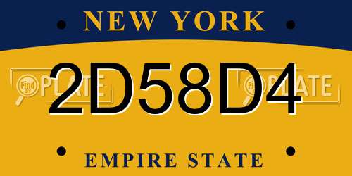 2D58D4 New York License Plate