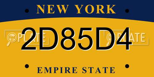2D85D4 New York License Plate