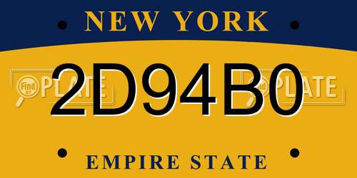 2D94B0 New York License Plate
