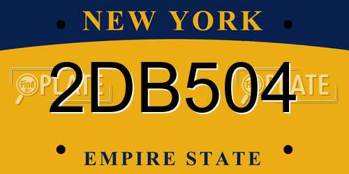 2DB504 New York License Plate