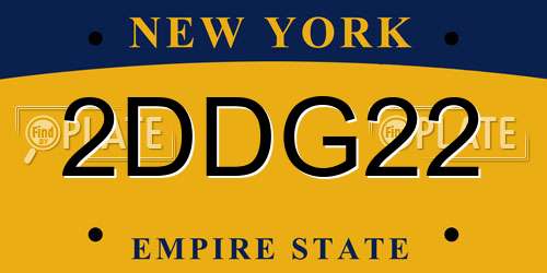 2DDG22 New York License Plate
