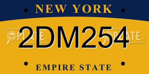 2DM254 New York License Plate