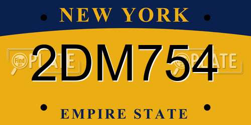 2DM754 New York License Plate