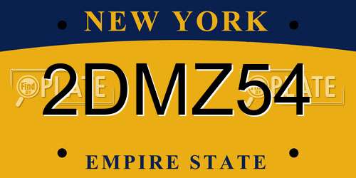 2DMZ54 New York License Plate