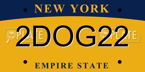 2DOG22 New York License Plate