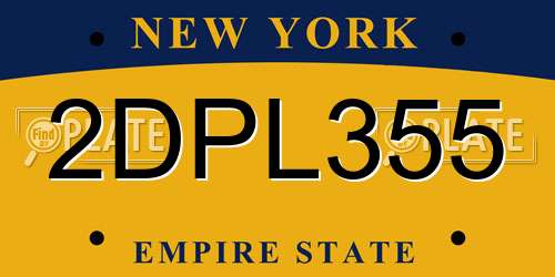 2DPL355 New York License Plate