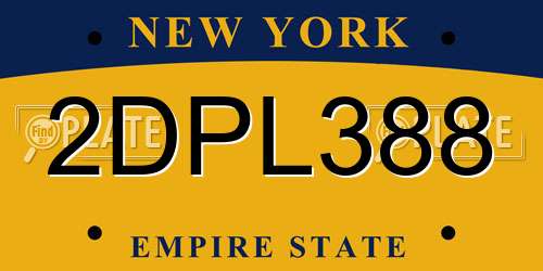 2DPL388 New York License Plate