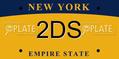 2DS New York License Plate