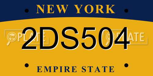 2DS504 New York License Plate