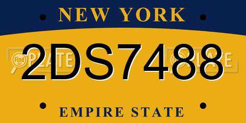 2DS7488 New York License Plate