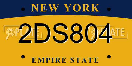 2DS804 New York License Plate