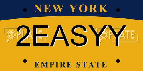 2EASYY New York License Plate