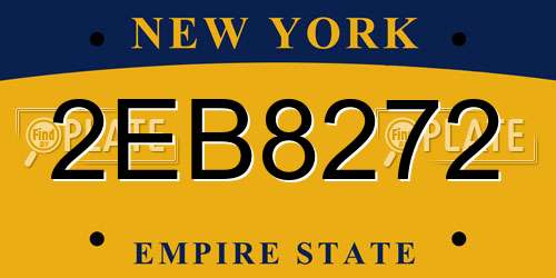 2EB8272 New York License Plate